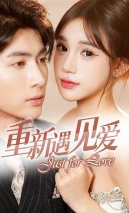 短剧《重新遇见爱（换婚后我成了大哥的心尖宠）36集全》夸克网盘免费观看-aoooo