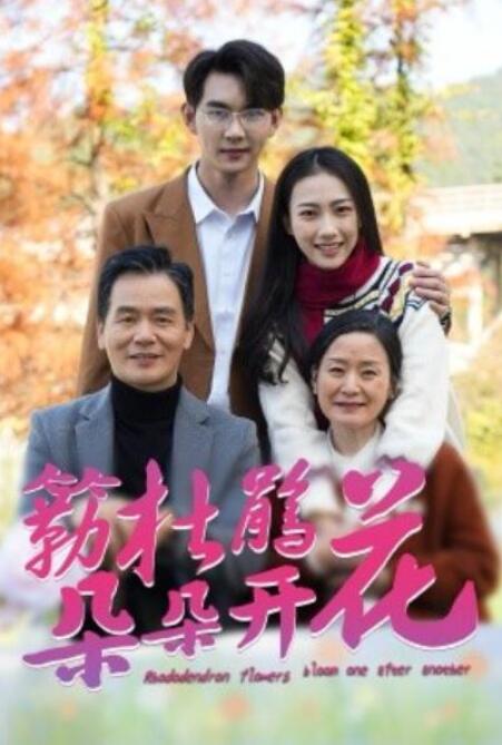 短剧《簕杜鹃花朵朵开（1-38集）》全集夸克网盘免费在线观看-aoooo