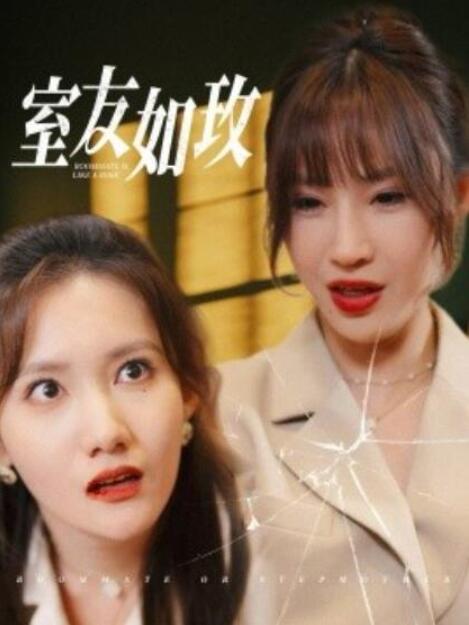短剧《室友如玫（1-36集）》全集夸克网盘免费在线观看-aoooo