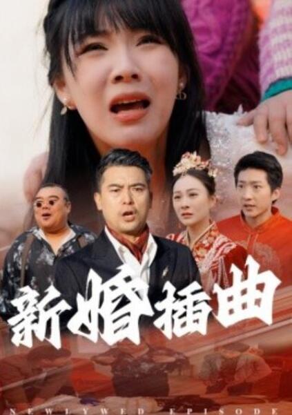 短剧《新婚插曲（1-29集）》全集夸克网盘免费在线观看-aoooo