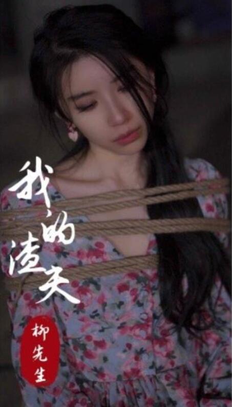 短剧《我的渣夫柳先生（1-80集）》全集夸克网盘免费在线观看-aoooo