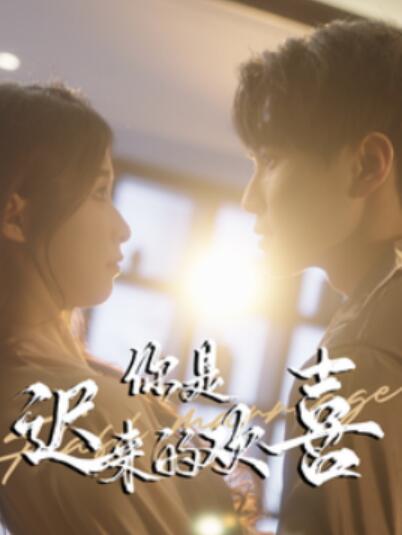 短剧《你是迟来的欢喜（1-78集）》全集夸克网盘免费在线观看-aoooo
