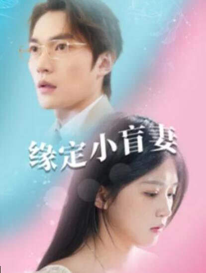 短剧《缘定小盲妻（1-62集）》全集夸克网盘免费在线观看-aoooo