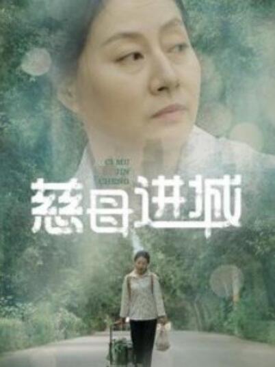 短剧《慈母进城（1-60集）》全集夸克网盘免费在线观看-aoooo