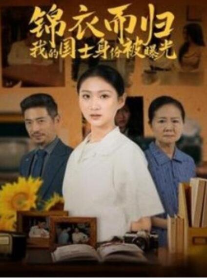 短剧《锦衣而归我的国士身份被曝光（1-60集）》全集夸克网盘免费在线观看-aoooo