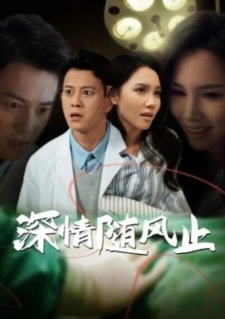 短剧《深情随风止（1-54集）》全集夸克网盘免费在线观看-aoooo