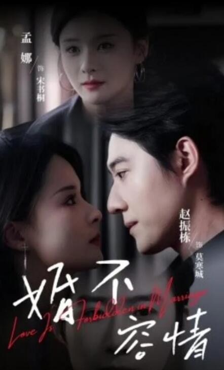 短剧《婚不容情（89集全）》夸克网盘免费在线观看-aoooo