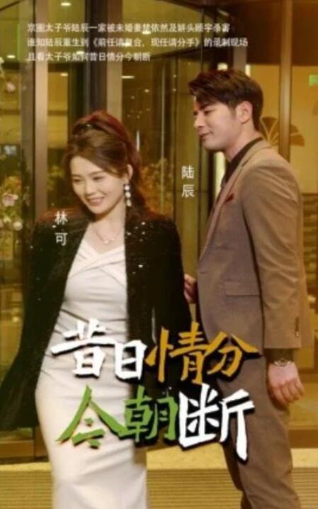 短剧《昔日情分今朝断（1-50集）》全集夸克网盘免费在线观看-aoooo