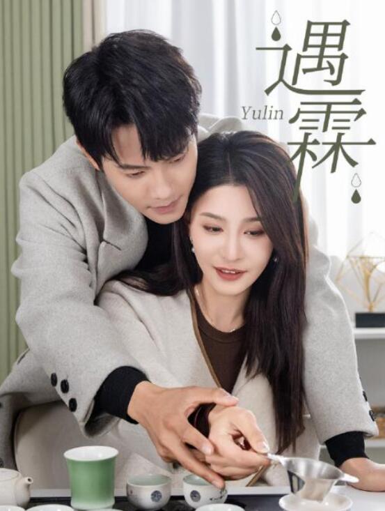 短剧《遇霖（50集全）》夸克网盘免费在线观看-aoooo