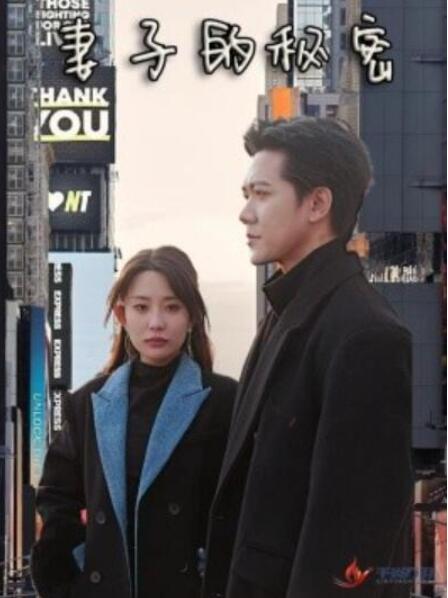 短剧《妻子的秘密（50集全）》夸克网盘免费在线观看-aoooo