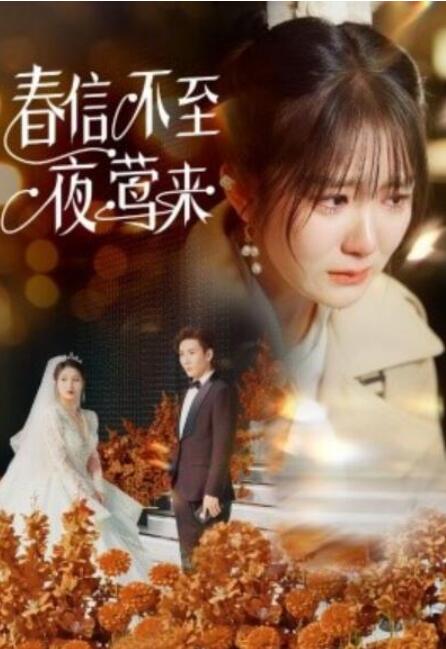 短剧《春信不至夜莺来（50集全）》夸克网盘免费在线观看-aoooo