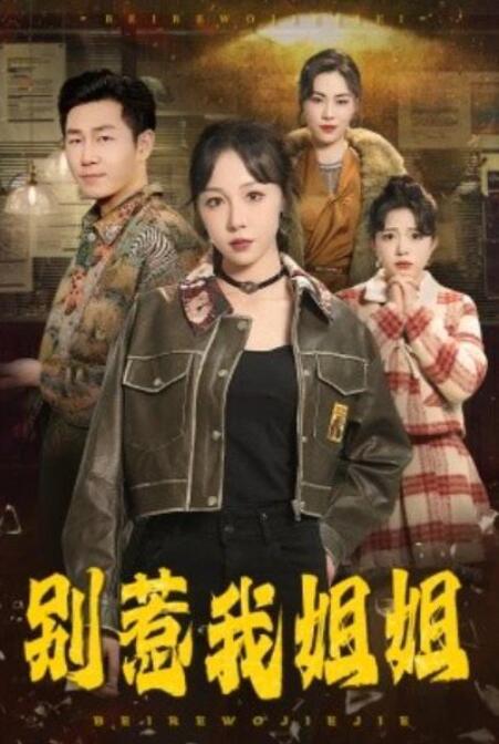 短剧《别惹我姐姐（37集全）》夸克网盘免费在线观看-aoooo