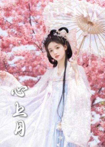 短剧《心上月（72集全）》夸克网盘免费在线观看-aoooo