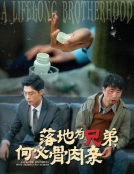 短剧《落地为兄弟，何必骨肉亲（误杀）60集全》夸克网盘免费在线观看-aoooo