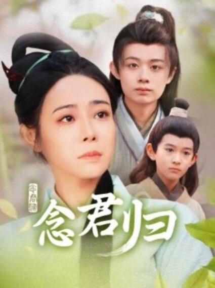 短剧《念君归（77集全）》夸克网盘免费在线观看-aoooo