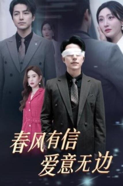 短剧《春风有信，爱意无边（失明之后，爱意尽毁）30集全》夸克网盘免费在线观看-aoooo