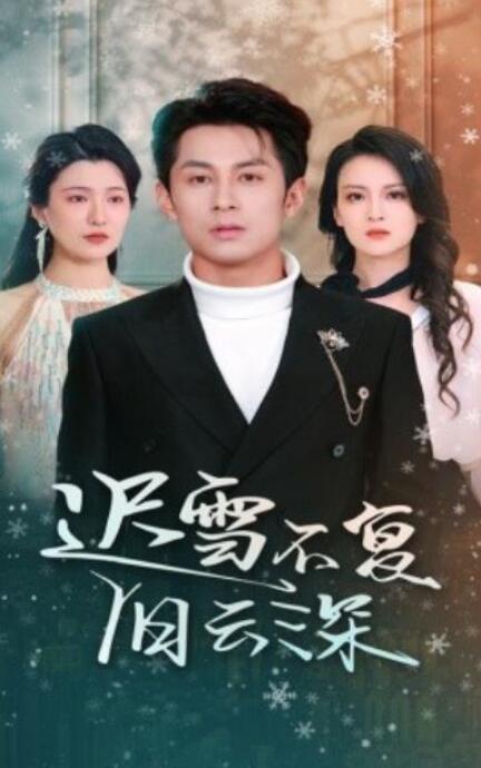 短剧《迟雪不复旧云深（45集全）》夸克网盘免费在线观看-aoooo