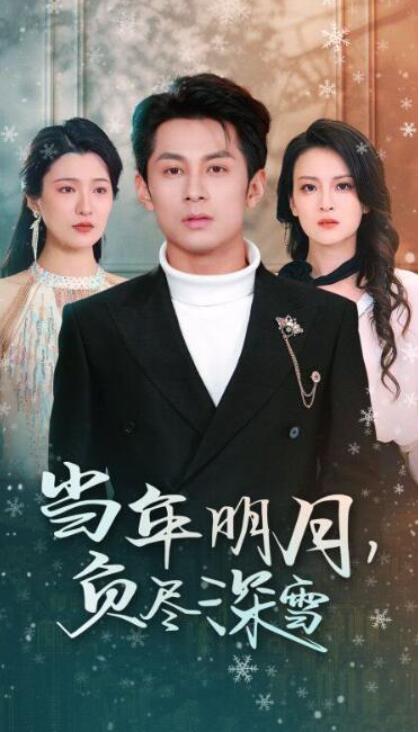 短剧《当年明月负尽深雪（45集全）》夸克网盘免费在线观看-aoooo