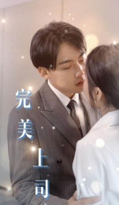 短剧《完美上司（30集全）》夸克网盘免费在线观看-aoooo