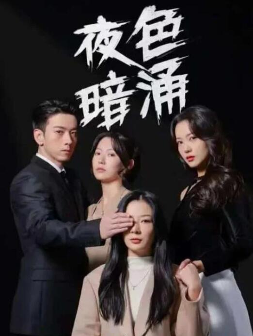 短剧《诱捕局中局（夜色暗涌）42集全》夸克网盘免费在线观看-aoooo