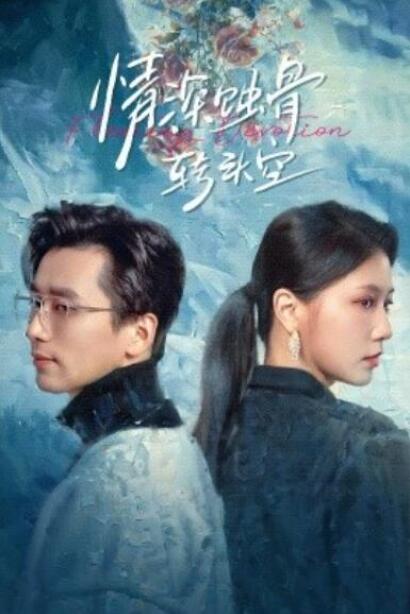 短剧《情深蚀骨转头空（在荆棘中绚烂）30集全》夸克网盘免费在线观看-aoooo