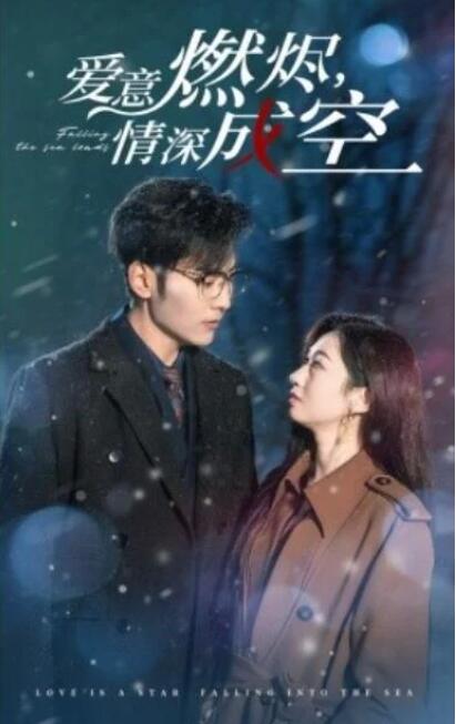 短剧《爱意燃尽，情深成空（44集全）》夸克网盘免费在线观看-aoooo