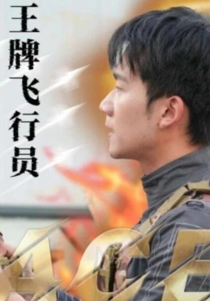 短剧《王牌飞行员（71集全）》夸克网盘免费在线观看-aoooo