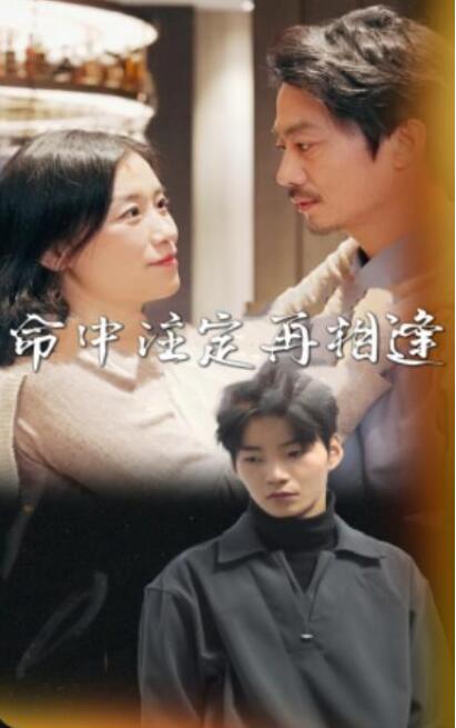 短剧《命中注定再相逢（39集全）》夸克网盘免费在线观看-aoooo