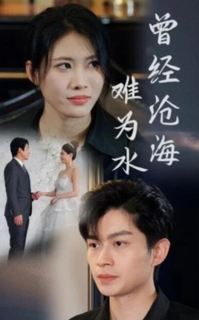 短剧《曾经沧海难为水（30集全）》夸克网盘免费在线观看-aoooo