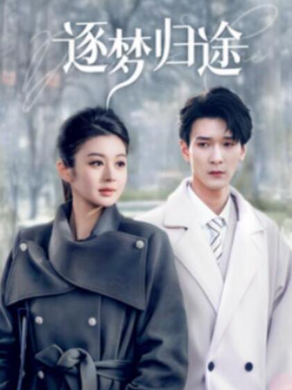 短剧《逐梦归途（60集全）》夸克网盘免费在线观看-aoooo