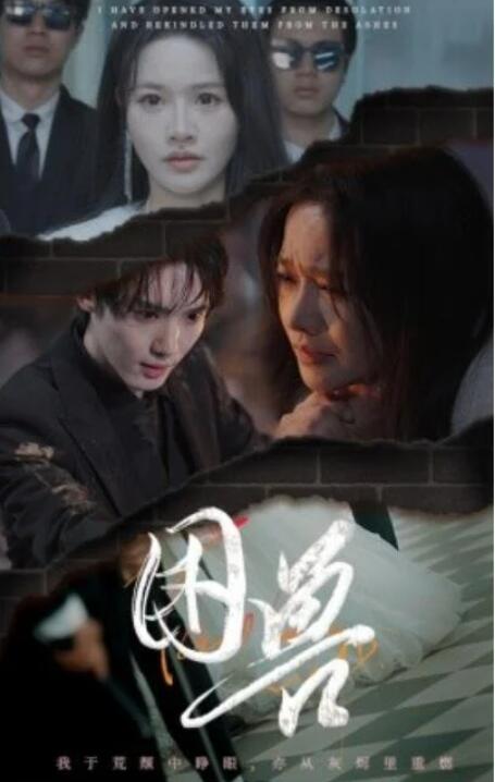 短剧《困兽（31集全）》夸克网盘免费在线观看-aoooo