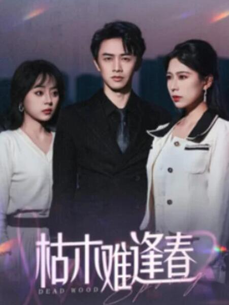 短剧《枯木难逢春（30集全）》夸克网盘免费在线观看-aoooo