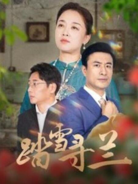 短剧《踏雪寻兰（94集全）》夸克网盘免费在线观看-aoooo