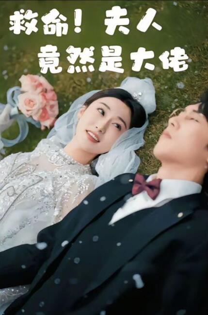 短剧《我家夫人是老大佬（救命！夫人竟然是大）41集全》夸克网盘免费在线观看-aoooo