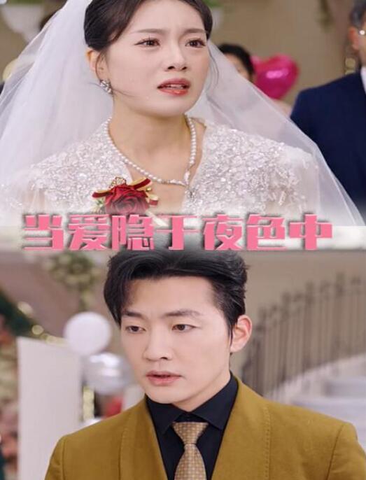短剧《当爱隐于夜色中（37集全）》夸克网盘免费在线观看-aoooo