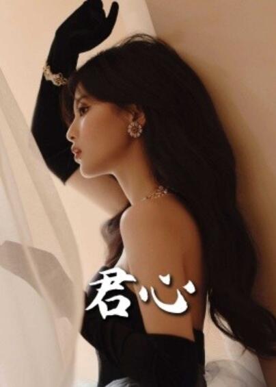 短剧《君心（72集全）》夸克网盘免费在线观看-aoooo