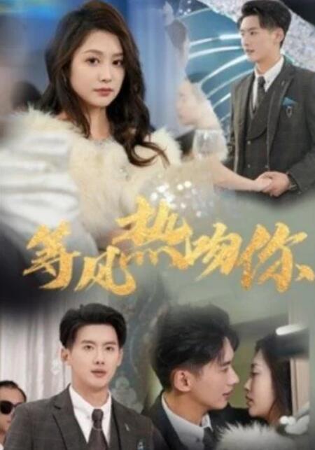 短剧《等风热吻你（31集全）》夸克网盘免费在线观看-aoooo